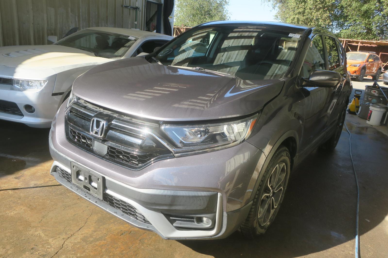 Car Result