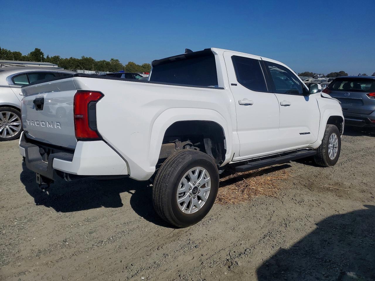 2025 Toyota Tacoma -- Photo 3